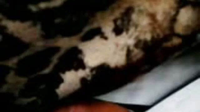 پرداخت برای صرفه جویی در بازی سکسی بکن بکن رابطه جنسی