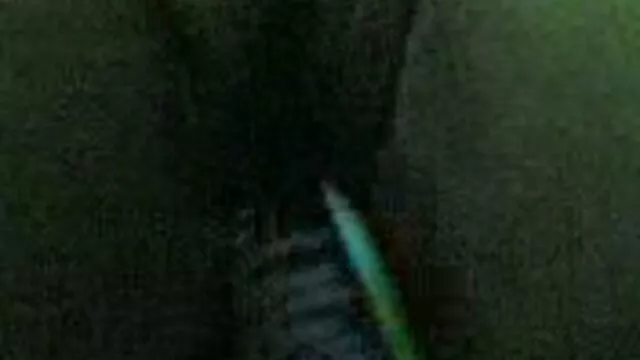 سبزه داغ گلپر کلاغ سیاه بکنبکن سوپر