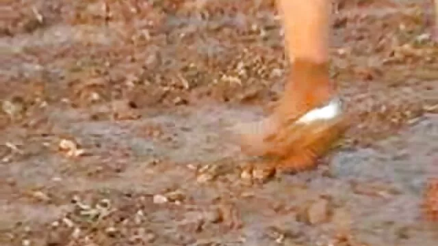 گربه دعوا انجمن